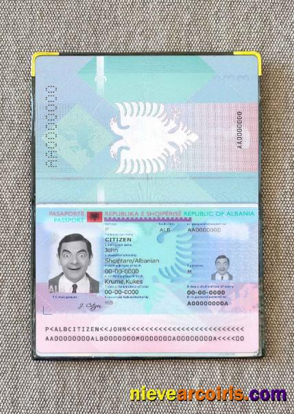 Albania passport photolook